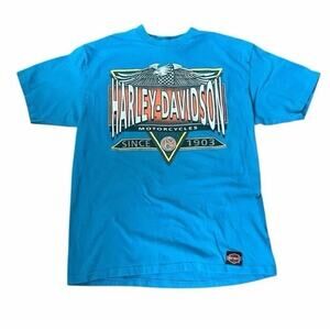 VINTAGE HARLEY-DAVIDSON Single Stitch T-Shirt Mens Size Large Blue 3064-9